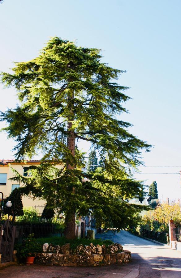La Torre Di Caprera Appartement Siena Buitenkant foto